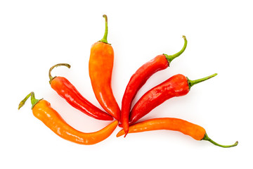 hot chilli peppers isolated on white background