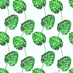 Split philodendron leaves, hand painted watercolor illustration,  seamless pattern design on white background © ArtoPhotoDesigno
