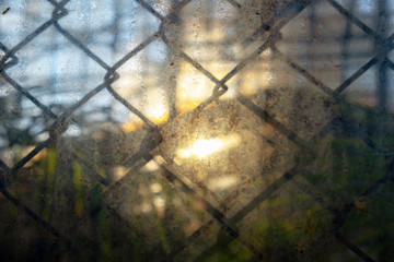 Dirty glass with chain link fence behind and sun reflections. Abstract background. Unfocused....
