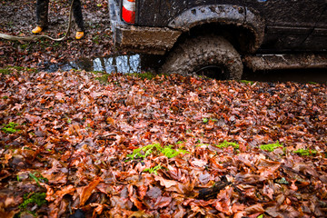 Riding the forest by car and buggy. Offroad trip to the mountains. Wheel in the swamp