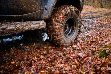 Fototapeta na wymiar Riding the forest by car and buggy. Offroad trip to the mountains. Wheel in the swamp