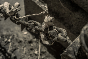 Fototapeta premium Friedhof in Infrarot