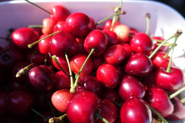 fresh red cherrys into white bowl