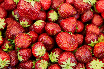 Fresh strawberry background. Texture strawberry berries