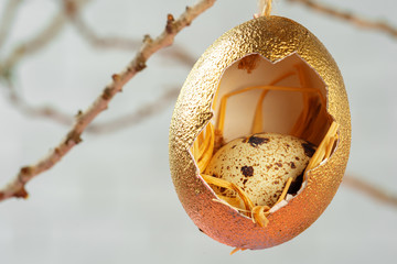 Colored Easter eggs hanging on dry branches. Easter concept