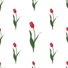 Obraz premium Endless red Tulip vector pattern. Symbol of passion. Plant on an isolated background. Idea for Wallpaper, cover, design. Floral print. Spring mood