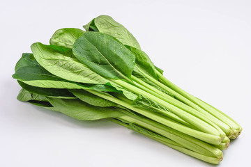 冬野菜　小松菜　　