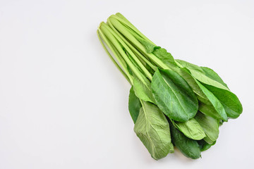 冬野菜　小松菜　　