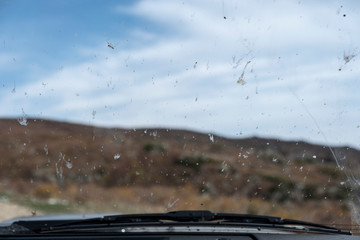 Dirty windshield with insects and dirt while driving. Dead bugs splattered on the windscreen.
