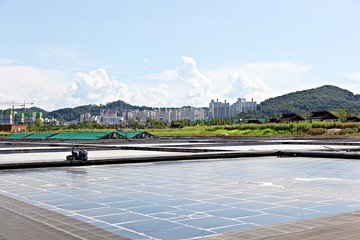 시흥갯골생태공원입니다