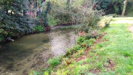 The Tomeza River as it passes through the city of Pontevedra