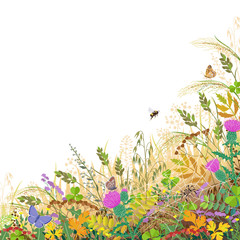Colorful Border with Autumn Meadow Plants and Insects