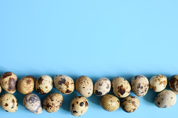 Obraz premium row of quail eggs on a blue background. space for text