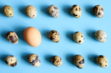 several quail eggs and one chicken egg on a blue background. a regular pattern. space for text