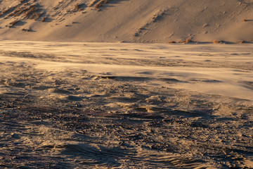 Wind is making interesting shape on wet sand's surface. Sand texture made by the wind.