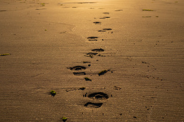Boots footprints on a wet sand in perspective. Footprints on the beach.