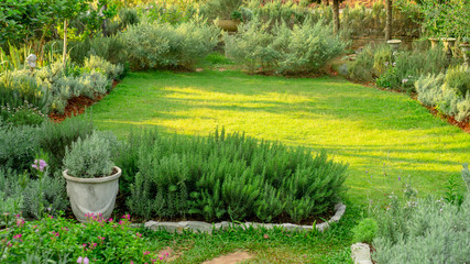 Cottage garden on green grass lawn backyard, landscape decorate with rosemary herb, lavender, flowering plant,  greenery trees and sculpture in charming edible gardens and good maintenance landscaping