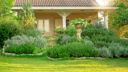 Cottage garden on green grass lawn backyard, landscape decorate with roses, rosemary herb,...