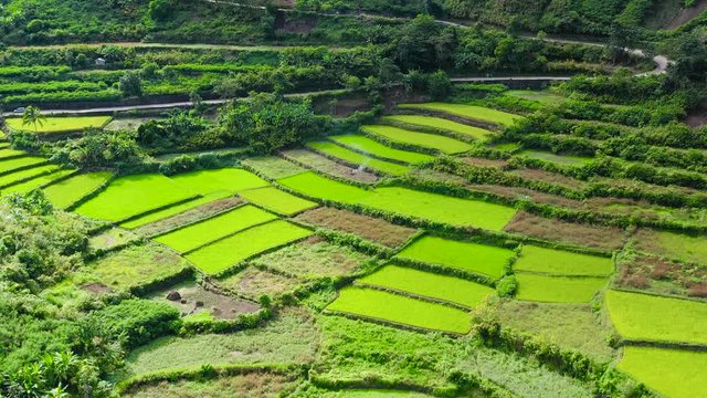 Rice terraces in the Philippines. The village is in a valley among the rice terraces. Rice cultivation in the North of the Philippines.