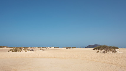 The Natural Park of the Dunes of Corralejo, breathtaking arid landscape shaped by hectares of golden sand, located in the municipality La Oliva, on the island of Fuerteventura, Canary Islands, Spain