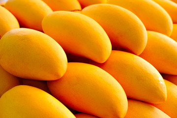 Fototapeta na wymiar Fresh ripe exotic mango stack.