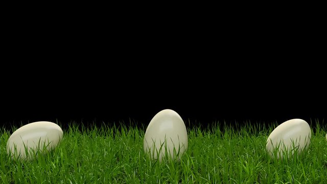 Eggs on the grass, slide down the slope covered with green cereal. Sunny positive climate. Beautiful surroundings and cheerful animation.High quality animation. Look to my profile to find another.