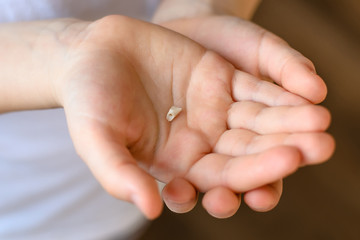 Little girl or boy holds in hand first dropped baby tooth. Preschooler showing her milk tooth fell out. Dental hygiene concept