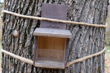 Bird feeder mounted on a tree with ropes.