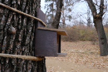 Bird feeder mounted on a tree with ropes.