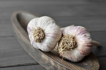 Dry fresh organic garlic bulbs on wooden plate over dark wooden background