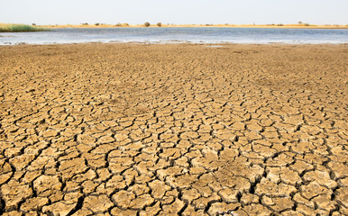 Dried fissured mud cracked earth dryness desert