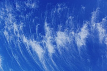 Obraz premium 하늘의구름과비행기