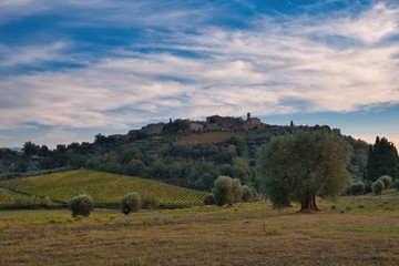Fototapeta na wymiar Panoramic view towards the town of Castelnuovo dell'Abate Montalcino Tuscany Italy