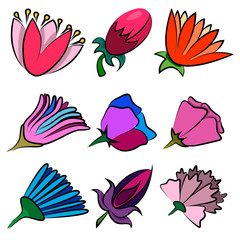 Set of nine flowers of different shapes and colors. Images for the eighth of March and other holidays with flowers.