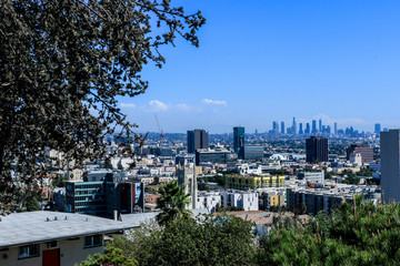 Naklejka premium Panoramic view to the city from Hollywood hill, California, USA