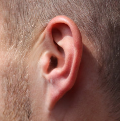 Ear on the man&rsquo;s head