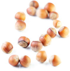 Hazelnuts nuts isolated on a white background
