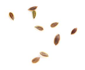 Dill seeds isolated on a white background
