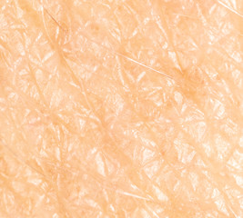 Human skin as a background