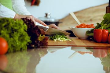 Unknown human hands cooking in kitchen. Woman slicing green onion. Healthy meal, and vegetarian food concept
