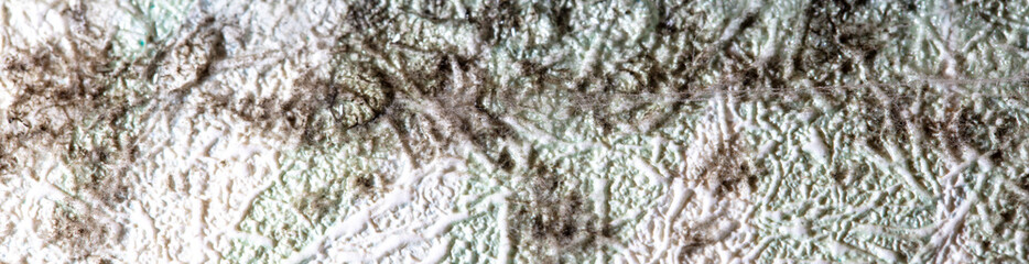 Mold on the wallpaper on the wall in the room