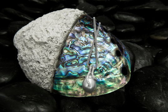 White Gold Pendant With Tahitian Pearl On Rainbow Lip Pearl Oyster (Pteria Sterna)