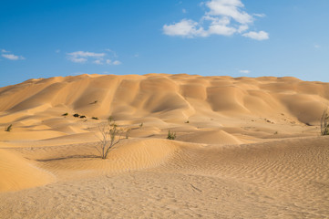 Fototapeta na wymiar Amazing high sand dunes in Oman