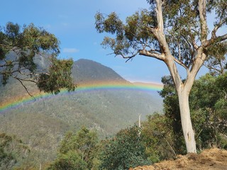 Fototapeta na wymiar Rainbow across the valley