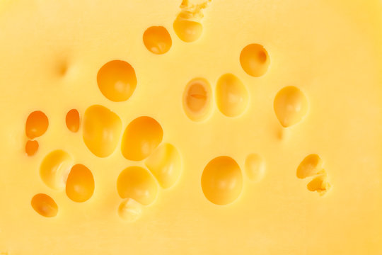 cheese background. cheese texture. top view. high resolution