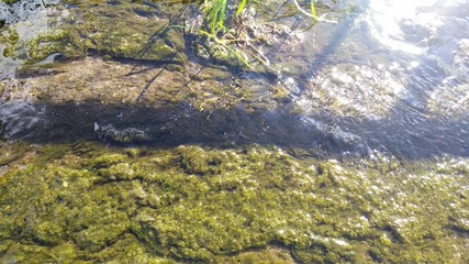 Reflections of the surface of the water and the bottom of the river