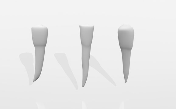 Teeth on one leg. Dental implantation, dental treatment. 3D rendering.