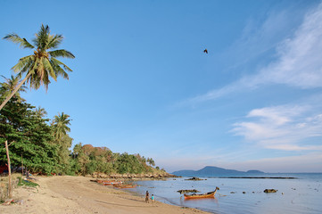Landscape with tropical beach, coconut palm trees and traditional longtail boat. Phuket Island, Thailand.