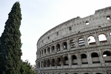 Fototapeta na wymiar il colosseo,anfiteatro flavio,roma,italia