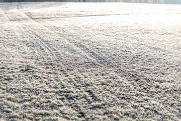 path in the frozen grass